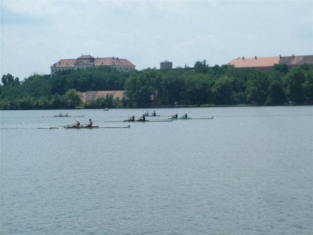 DSCF7342 (Medium)